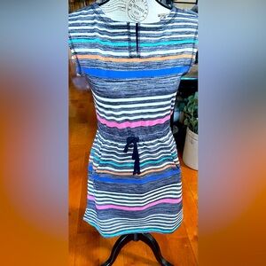 T by Talbots Multi Color Striped Dress | Small Petite (P)